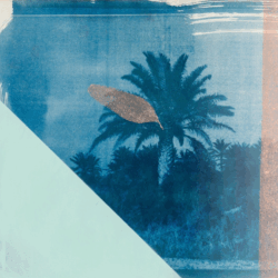 TL Magazine - 16.10.2025