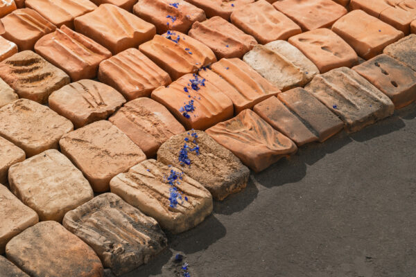 Férielle Doulain-Zouari