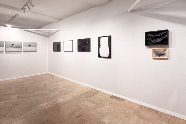 Shiva Zahed Gallery